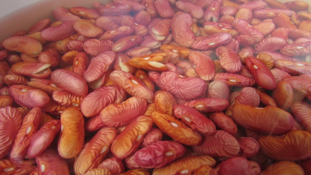 red beans soaking in water after 2 hours